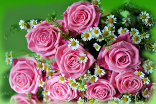 853513 (a): :2500x1660